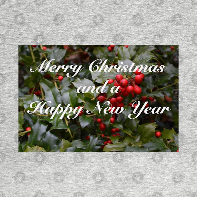 Merry Christmas Holly Berries Card by seacucumber